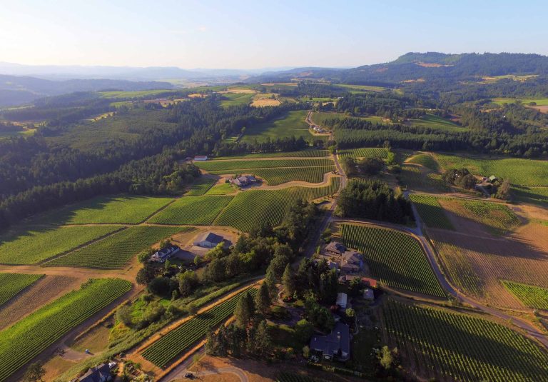 ribbon ridge ava winegrowers willamette valley oregon