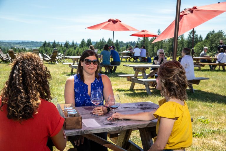 utopia vineyard outdoor wine tasting 768x512