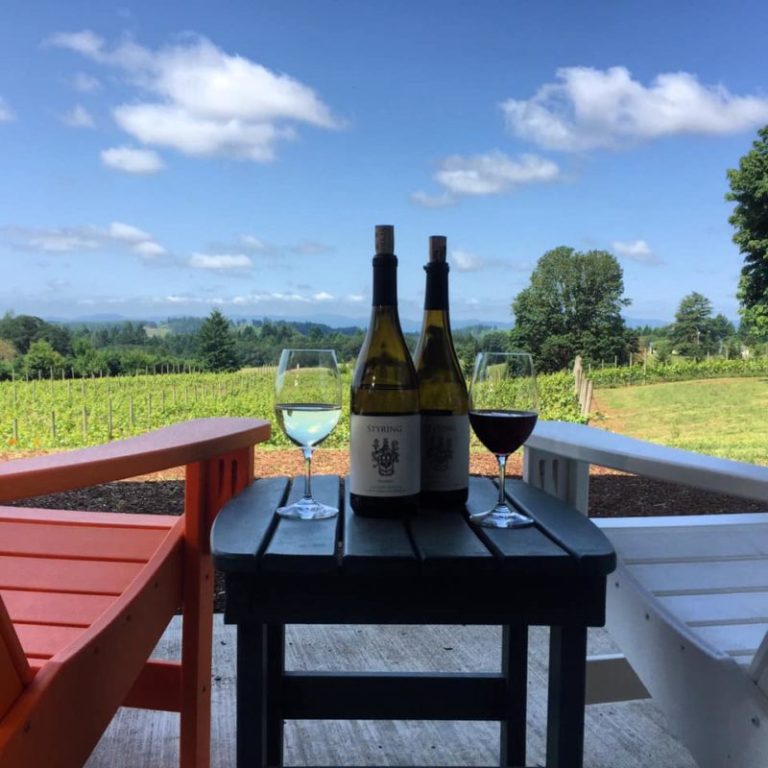 styring vineyards tasting outdoors 768x768
