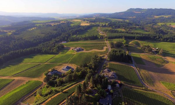 Ribbon Ridge AVA Aerial View